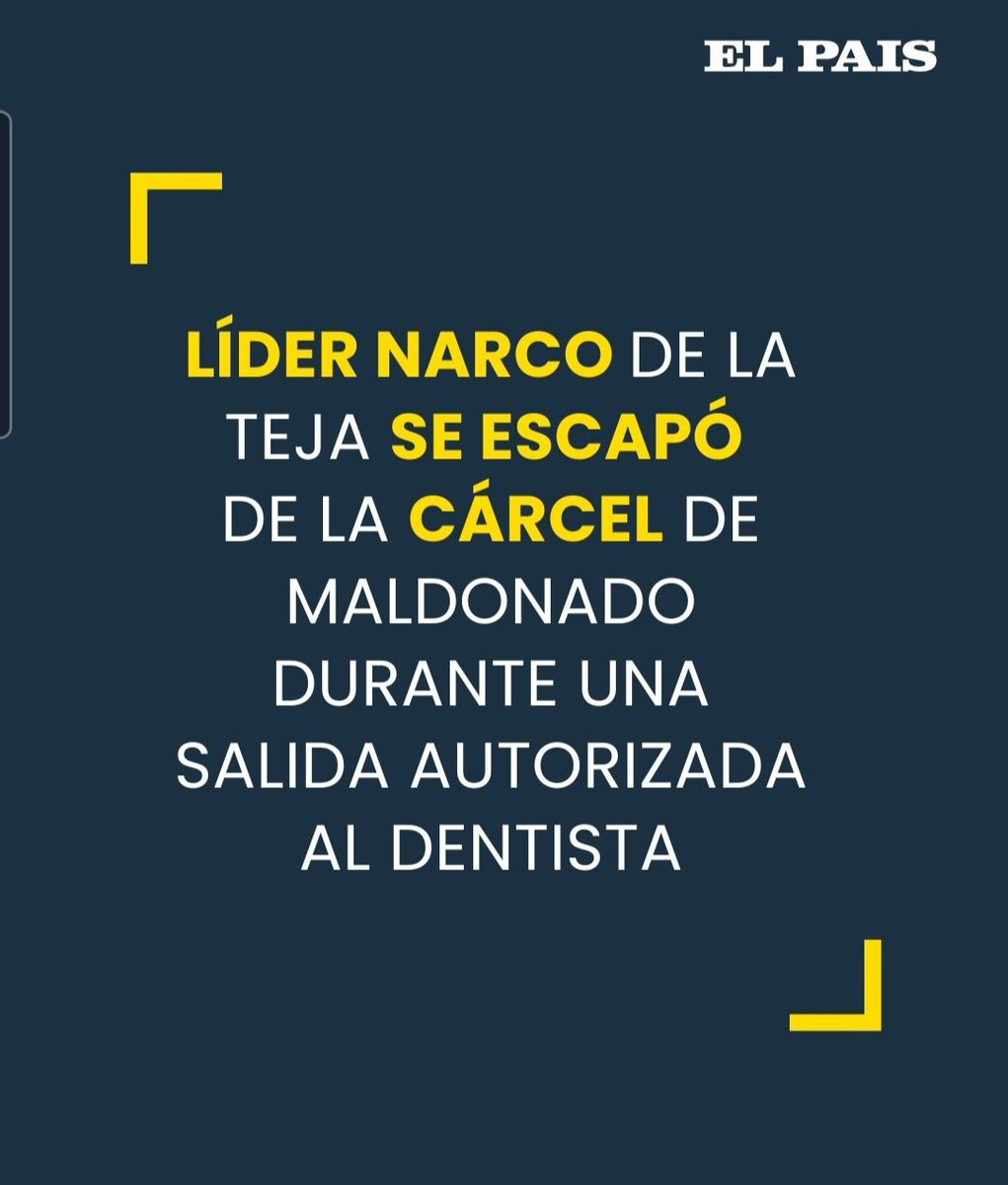 OPetinatti's tweet photo. De los creadores de "Morabito y Gonzalez Valencia se van de vacaciones" llega "Al narco le duele la muela" 
Vino el Ratón Perez y se lo llevó.... https://t.co/95UHhdhJHF