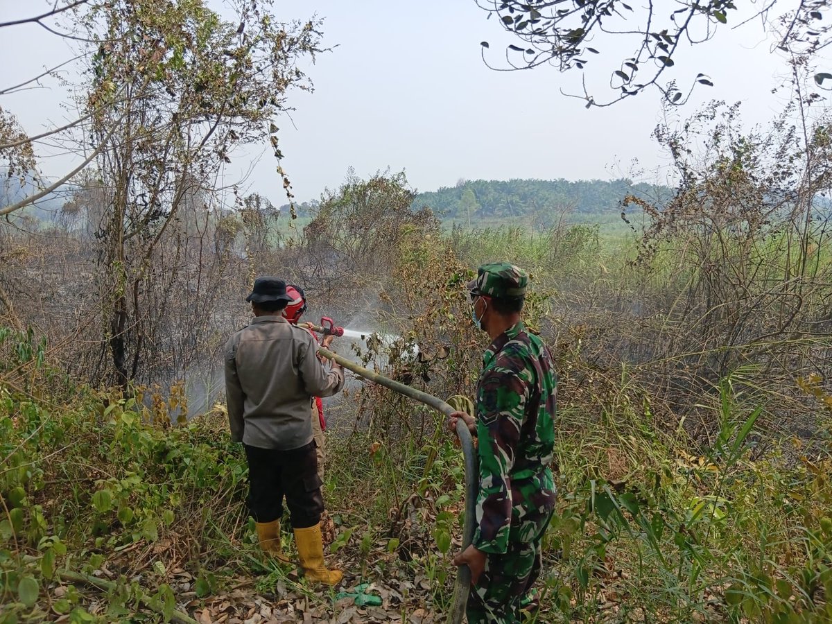 Kodimpaser's tweet photo. Kebakaran Terjadi Di Longkali Dan Berhasil Dipadamkan Oleh Satgas Karhutla Longkali

Kel. Longkali Kec. Longkali Kabupaten Paser telah terjadi kebakaran pada lahan perkebunan milik masyarakat yang sudah kering akibat Kemarau.

#tniad #kodimpaser #longkali #satgaskarhutla https://t.co/aCZOelcVA8