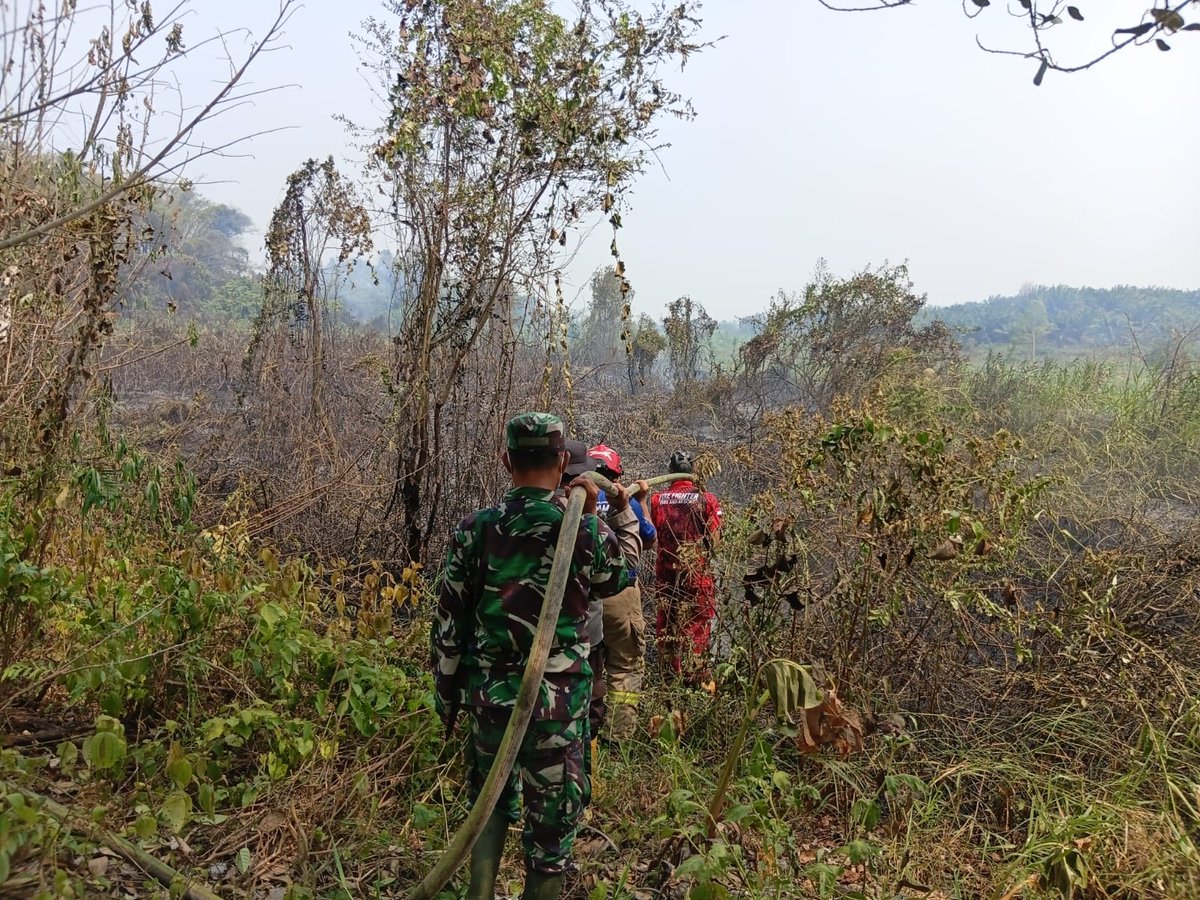 Kodimpaser's tweet photo. Kebakaran Terjadi Di Longkali Dan Berhasil Dipadamkan Oleh Satgas Karhutla Longkali

Kel. Longkali Kec. Longkali Kabupaten Paser telah terjadi kebakaran pada lahan perkebunan milik masyarakat yang sudah kering akibat Kemarau.

#tniad #kodimpaser #longkali #satgaskarhutla https://t.co/aCZOelcVA8
