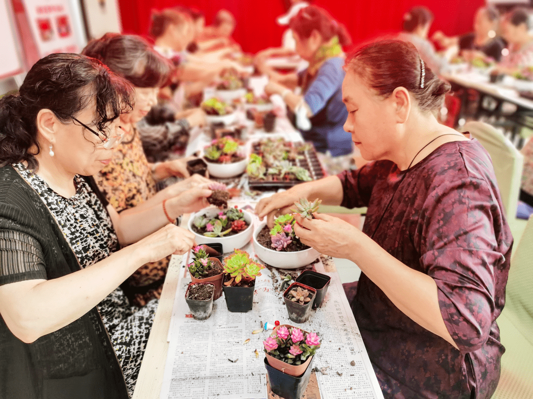 briai794292's tweet photo. [Free community garden workshop this Sat! Learn to grow veggies, meet neighbors u0026 take home seedlings. 10am at Maple Park. All ages welcome ]， https://t.co/yeuaSglGzb