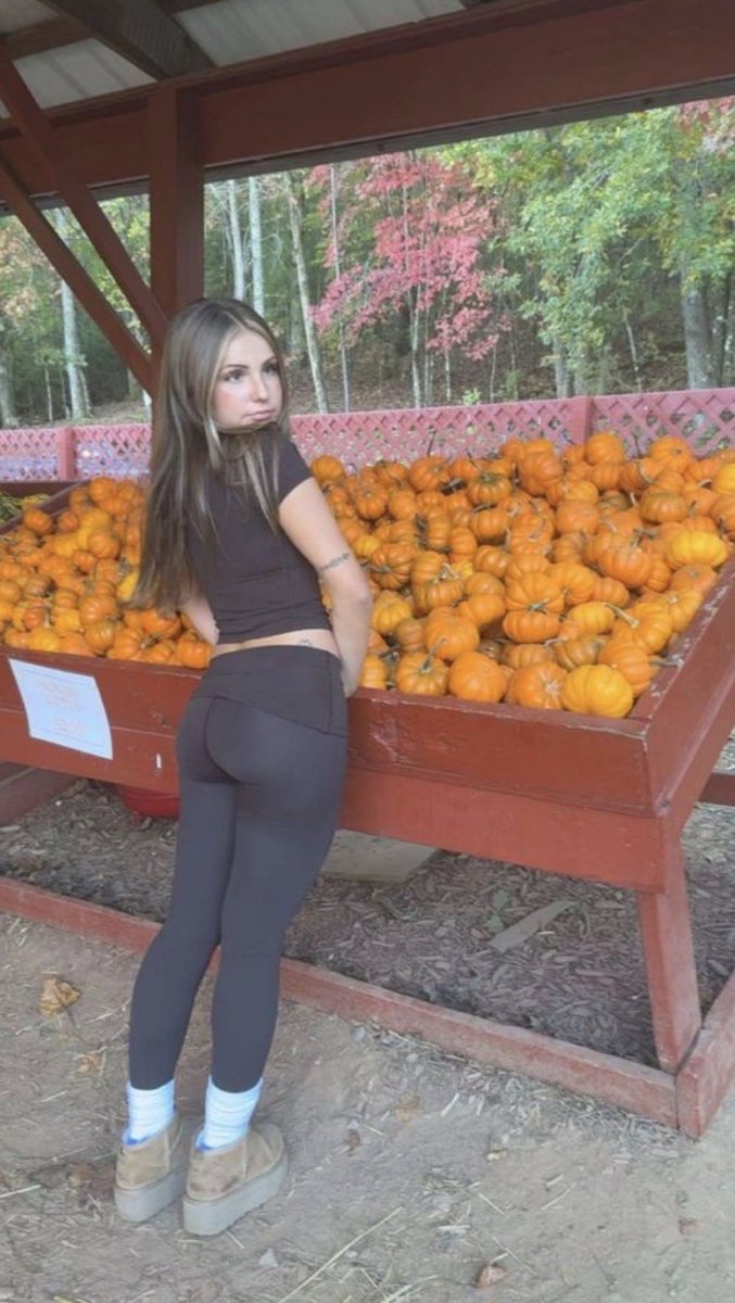 gal751556's tweet photo. Pumpkin https://t.co/p8NukES6oZ