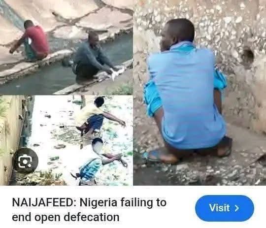 Alwayzbether732's tweet photo. @FruchterYv48079 While Nigerians 🇳🇬 are fighting tooth and nail for a $hitting  spot https://t.co/hGogcefftu