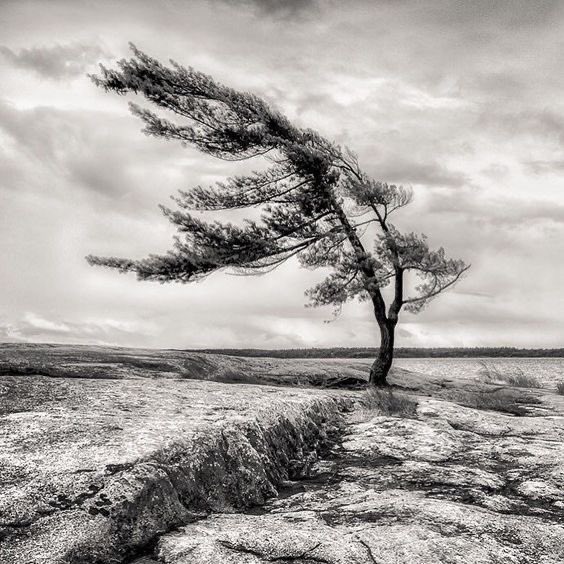 Gitana1369877's tweet photo. “Listen to the wind, it talks. Listen to the silence, it speaks. Listen to your heart, it knows.” https://t.co/dmVUUun5Tq
