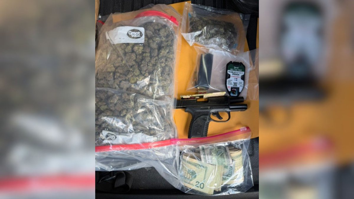 HCSOSheriff's tweet photo. A traffic stop for a tinted tag cover led to the discovery of a firearm and marijuana packaged for resale.

On September 18, 2026, just after 4 p.m., #teamHCSO deputies conducted a traffic stop on Eberneson Edmond, 28, near Bruce B. Downs Boulevard and Commerce Palm Drive for an improperly tinted tag cover.

During the traffic stop, Edmond admitted to having cannabis in the vehicle. A subsequent search revealed more than 100 grams of marijuana packaged in plastic bags and sealed in vacuum bags, along with a firearm and $1,500 in cash.

Edmond was arrested and charged with Possession of Cannabis With Intent to Sell, Manufacture, or Deliver; Possession of a Firearm During the Commission of a Felony; and Possession of Drug Paraphernalia.