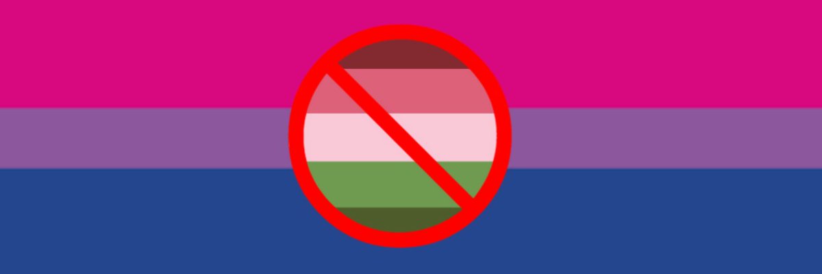 scaraciidal's tweet photo. bi  flag  for  bisexuals  who  hate  terfs https://t.co/tkTEGc3Qbo