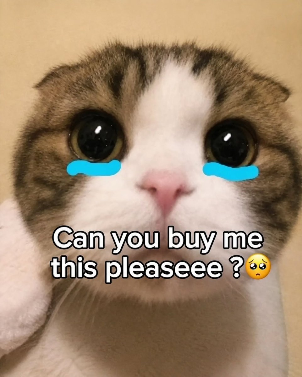 MandyProntzwdg's tweet photo. Can you buy me a Nismo, please? https://t.co/OYGqJwv3ZM