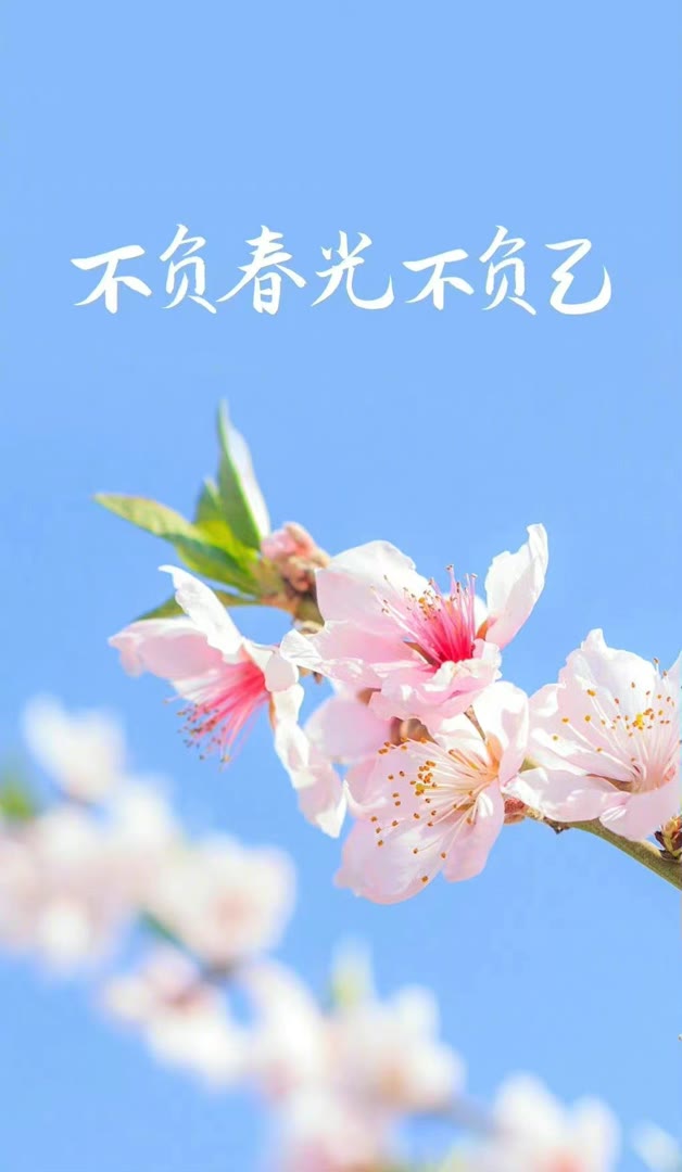 aelip970285's tweet photo. It is not work that kills,but worry.
兰州🏑城关🙋七里河📙兼🦋职🧿西固🧯安宁 #兰州  🧔❣个人联系→@ytup55678 https://t.co/hOMP6ip57r