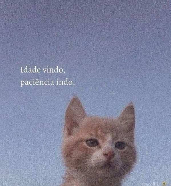 inspireipoesia's tweet photo. https://t.co/0SVAGwrY5l