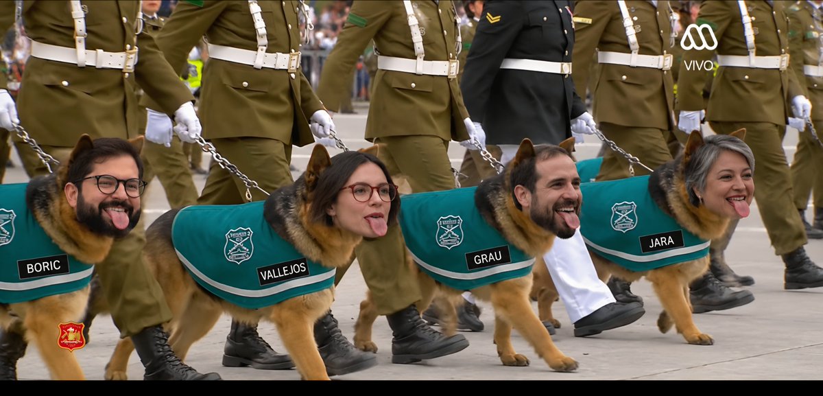 SebaWin23's tweet photo. #GloriasDelEjército #paradamilitar neme flaco

Me informan por interno que estan pasando los perros mas sumisos de carabineros 🤣🤣🤣🤣🤣 https://t.co/RjYG90UegL