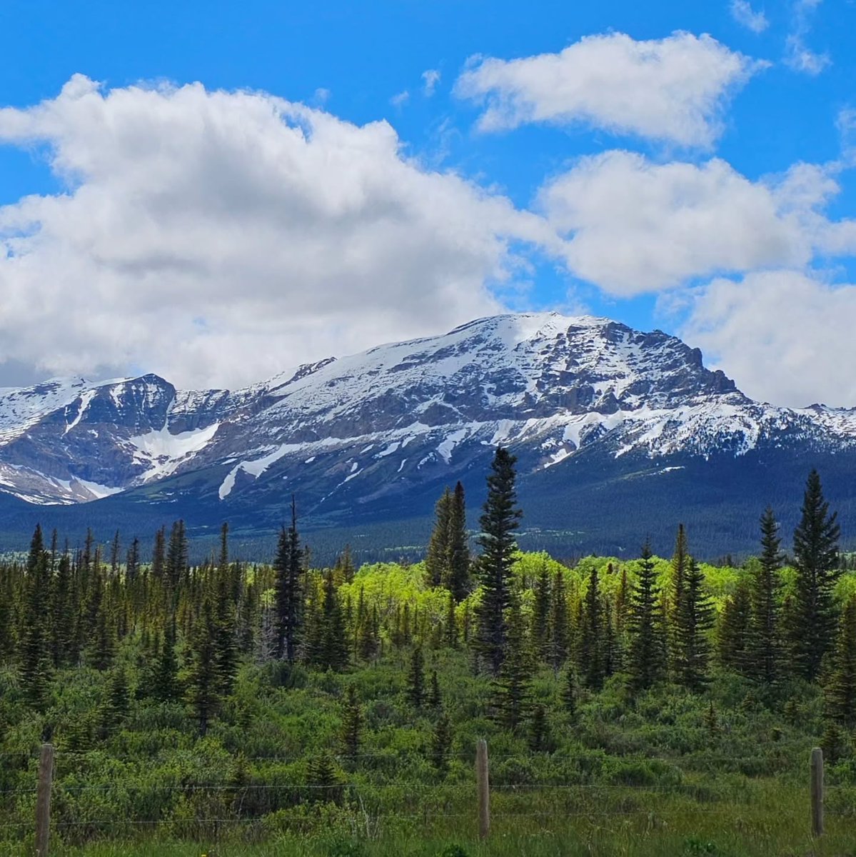 KaciKagermalc's tweet photo. Glacier’s mountains from the east along Highway 89. https://t.co/x0dpoy2RJN