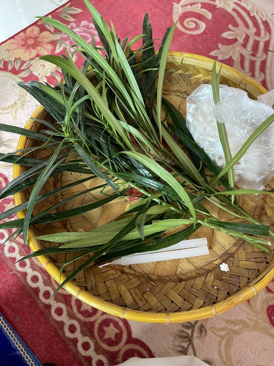 Yang1111jj's tweet photo. rice noodles～ https://t.co/BkE1AOcOi9