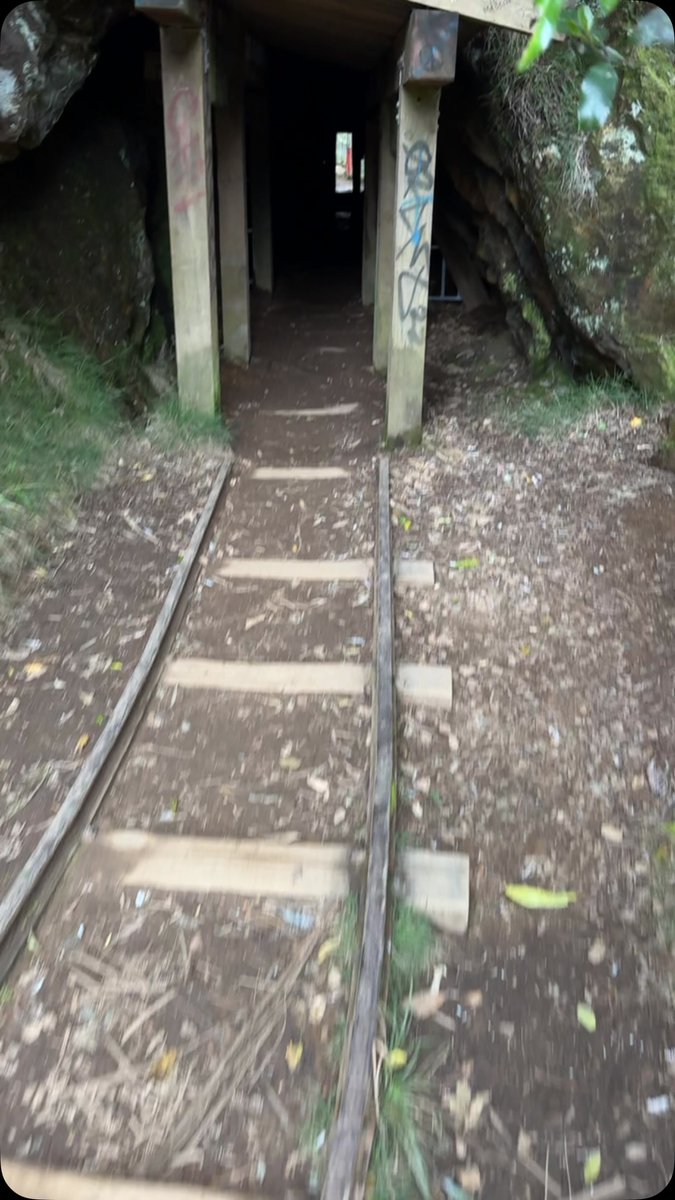 CorinneMatzljs's tweet photo. While traveling to Tauranga, NZ for photography work, I explored Karangahake Gorge and the Windows Walk trail. Incredible history and views—well worth the stop. Bring your camera. https://t.co/rTP44CJxIW