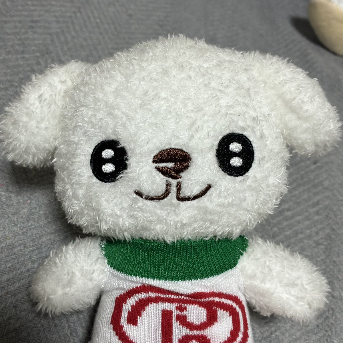 maruchi_kaiwai's tweet photo. ←肉の味を知る前
肉の味を知った後→
でしょうか…各ご家庭の丸チーズさんたちには可愛さのなかに「圧」を感じます（公式宣伝隊長の丸チーズさんはほわほわ系というか） https://t.co/zZ1tD56WW6