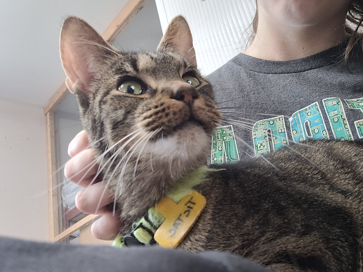 makecatsbetter tweet picture