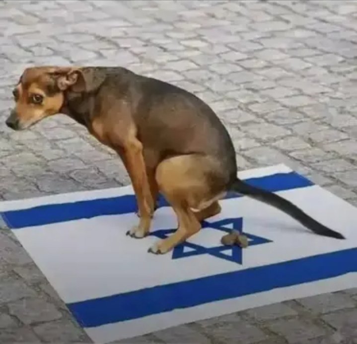 onion_i90's tweet photo. Fuck Israeli https://t.co/7A3B2xX0uq