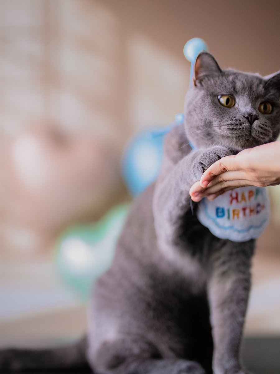 graceandersonfl's tweet photo. Official portraits of a very important one-year-old. Thank you for the silly moments, unique chirps, belly flops, and for making every day brighter. Here’s to more treats, memories, and years of loving you! https://t.co/msAjdlvaxR