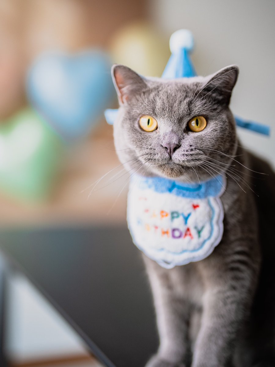 graceandersonfl's tweet photo. Official portraits of a very important one-year-old. Thank you for the silly moments, unique chirps, belly flops, and for making every day brighter. Here’s to more treats, memories, and years of loving you! https://t.co/msAjdlvaxR