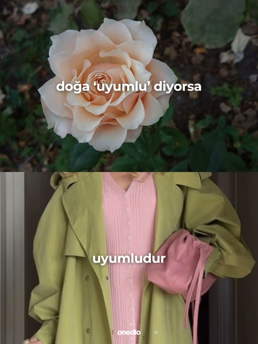 onedio's tweet photo. Bizim en büyük influencer'ımız. https://t.co/gjCjjDWIRb