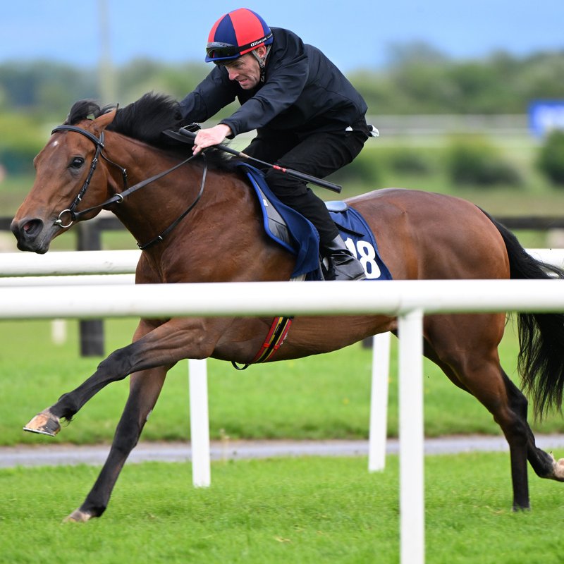 Tattersalls_ie's tweet photo. Breeze Up Sale graduate 𝗧𝗬𝗥𝗥𝗛𝗘𝗡𝗜𝗔𝗡 𝗧𝗛𝗨𝗡𝗗𝗘𝗥 made a winning racecourse debut in the 7f maiden at Ayr.

The 2yo son of Night Of Thunder was sold at the #TattsIreBU Sale last May by Grangeclare Stud @JoeyE_Logan to @adrian_keatley for €300,000 @BrzUps https://t.co/e8WrJNTrki