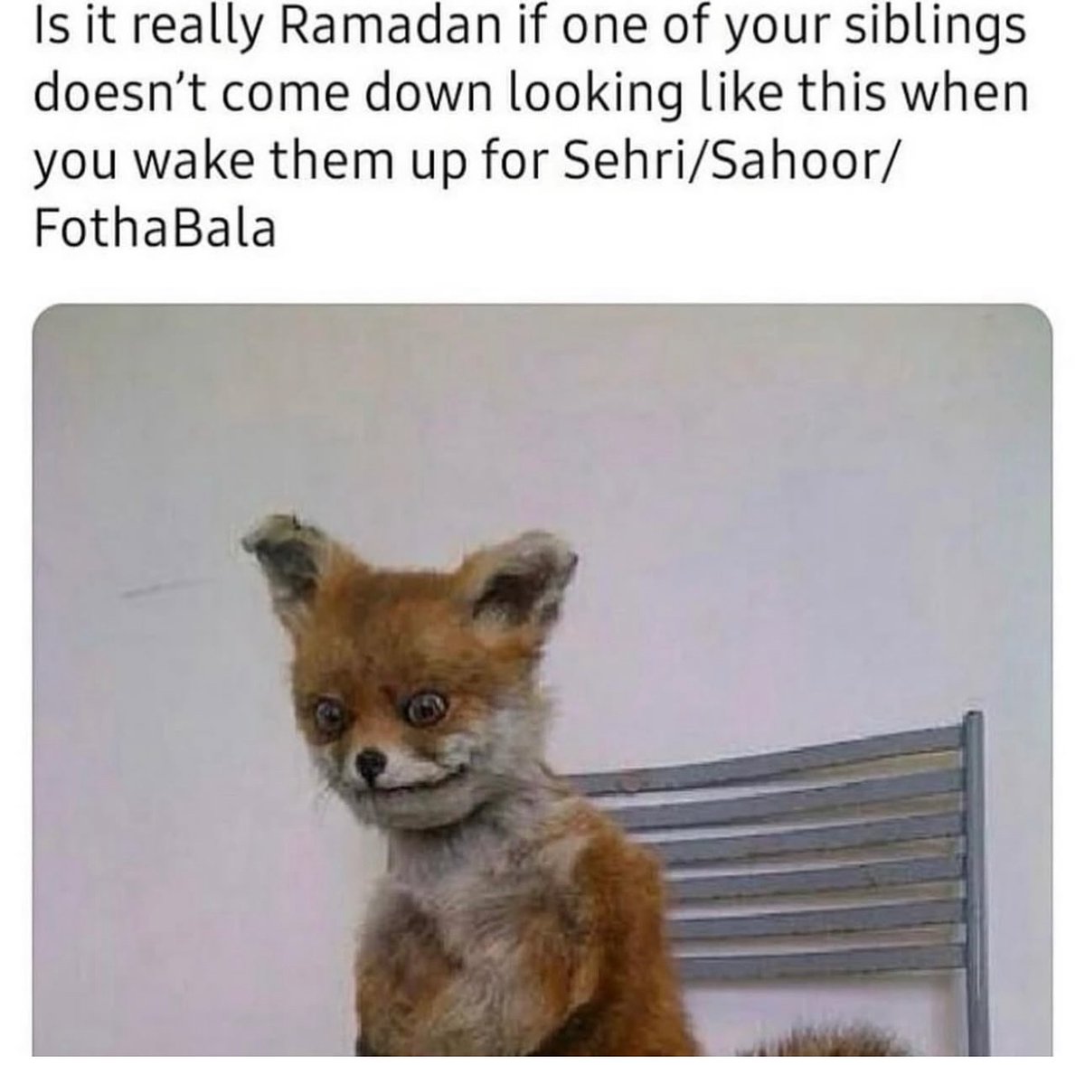 johnramirez2mk2's tweet photo. Tag that sibling. https://t.co/Jg99Q3h4T8