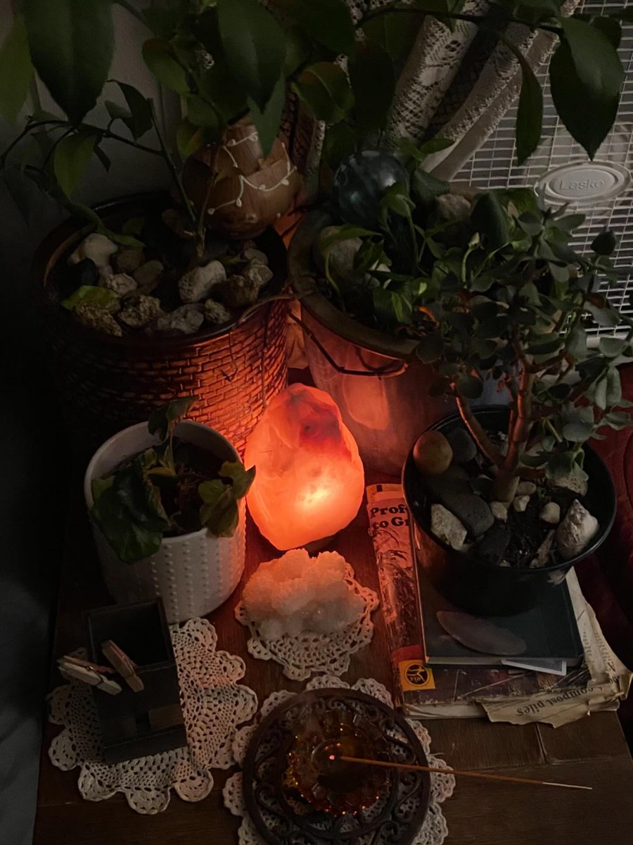 MerryMarceff4e's tweet photo. 🧚🏻‍♂️🪴 https://t.co/ztZWFWSjFA