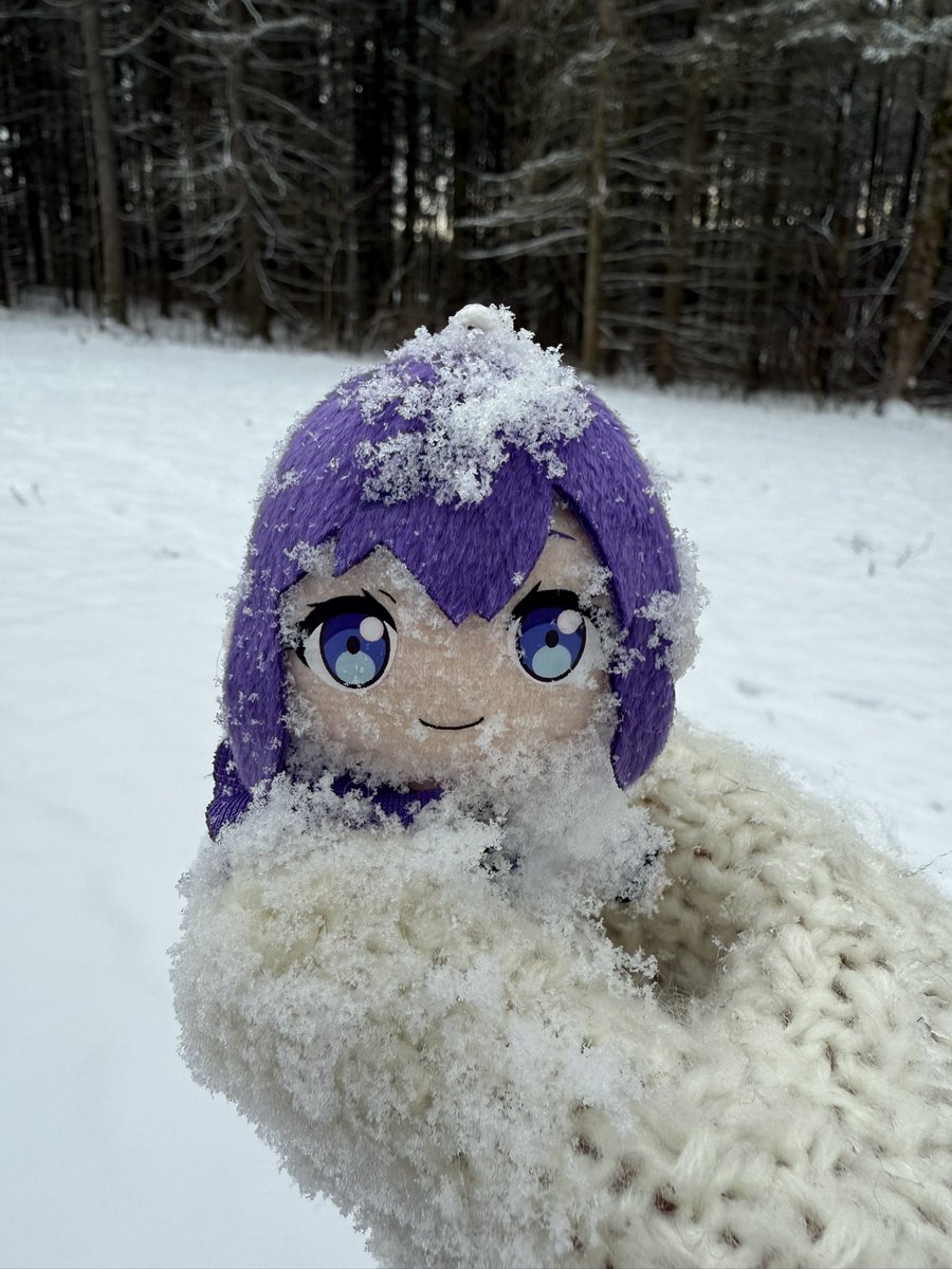 taraa77_'s tweet photo. in her natural habitat ❄️ https://t.co/leR9m7SGqa