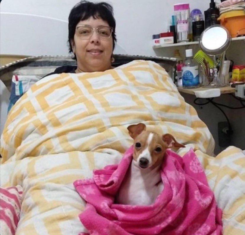 lightjaguar's tweet photo. a lauren é muito boa pessoa pq o tanto de dinheiro que eu iria ganhar em cima do tópico camren o flávio bolsonaro não ganhou do vorcaro https://t.co/KKV0Wutc8W