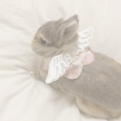 cinammqnbun's tweet photo. ℓiȶeraℓℓy  me  ♡ https://t.co/9vU2BRWgHI