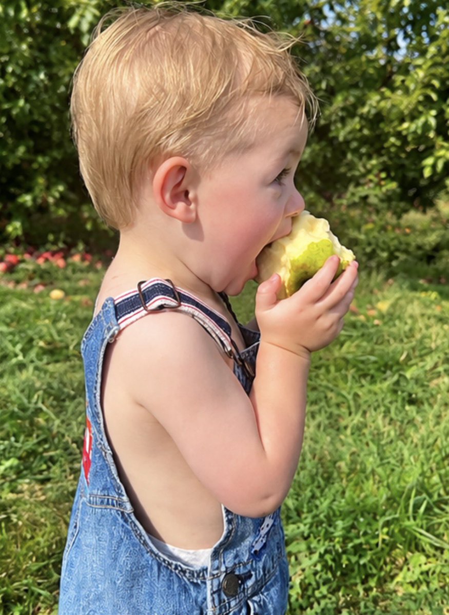 AlexGoldenNBA's tweet photo. Apples &amp; Overalls 🍎🍏 https://t.co/yca1x7lbYX