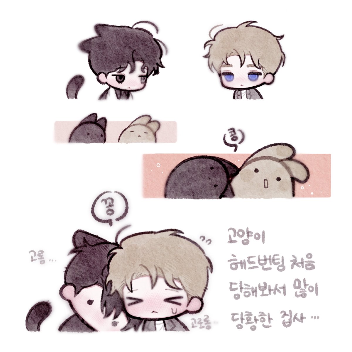 Oyster_rain0's tweet photo. 이렇게 보였고.. https://t.co/1xkCmJjDw3