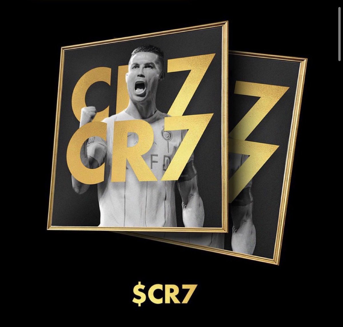 PiNetworkAlerts's tweet photo. 🚨 BREAKING 🚨

Cristiano Ronaldo has launched the presale for his Coin $#CR7

🔗 Official Presale: https://t.co/PCKOThEmea
📯Telegram: https://t.co/GMb3atszEh

Early buyers will make millions

We were the first to post $TRUMP coin (at $0.69) and we’ll be the first to share this one too, we’re gonna make millions together.