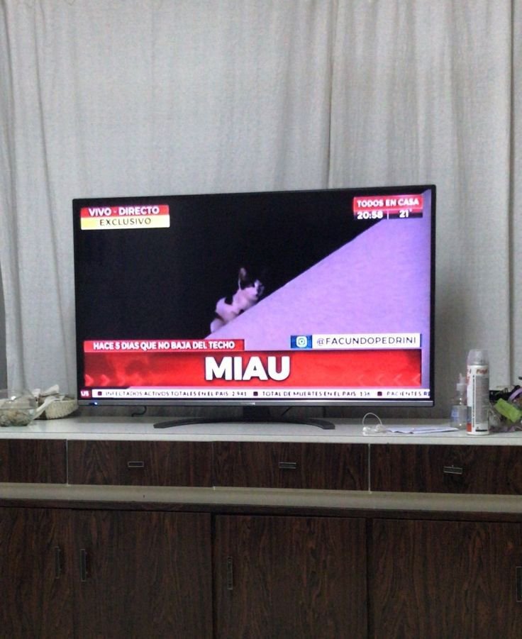 MIAUXCIN's tweet photo. Chikos apareci en la tele 🥺🫰 https://t.co/RfsZzQtMWw