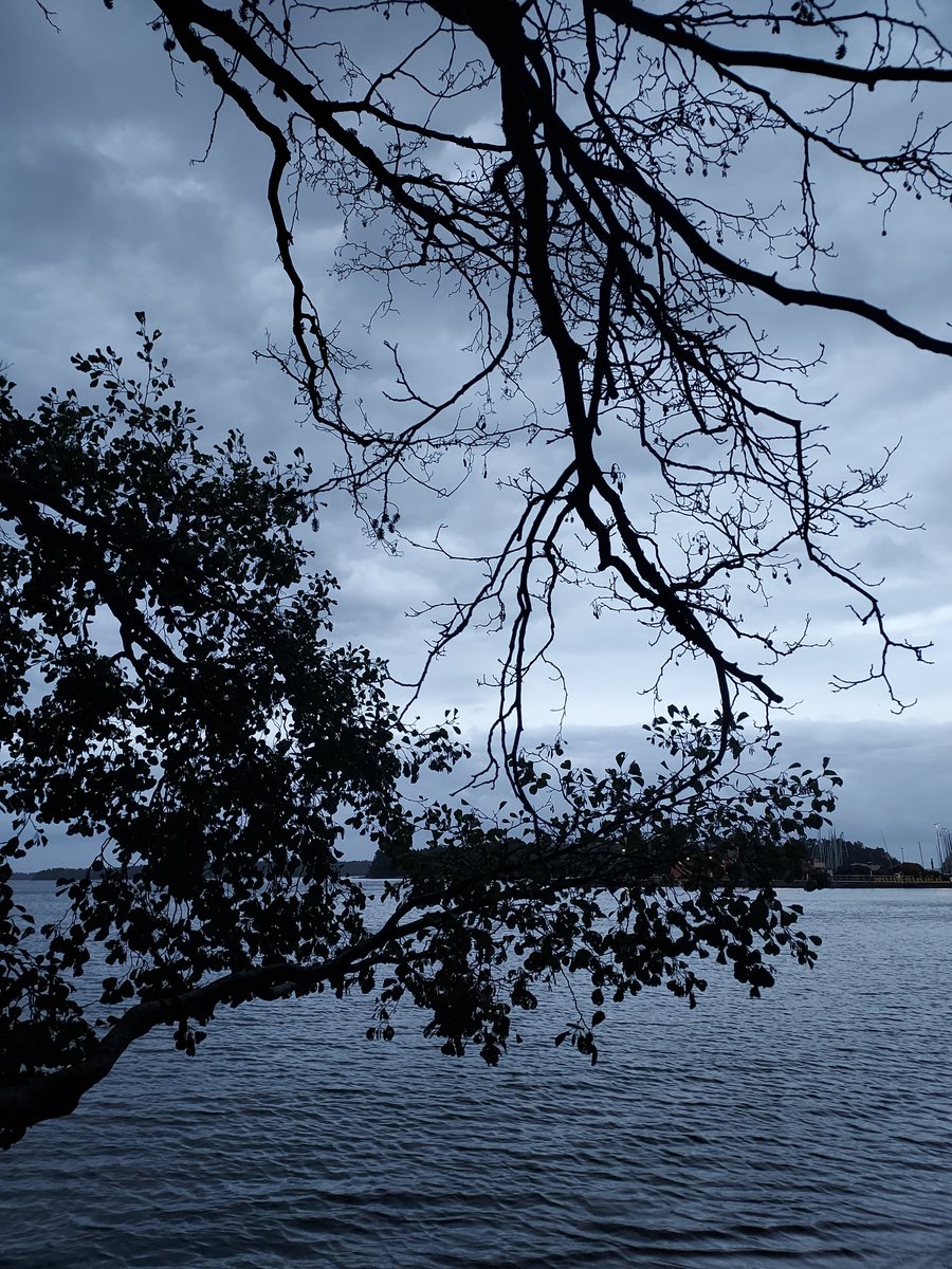 chandrarohit's tweet photo. Really enjoyed the evening walk in the shades of grey;  sometimes many shades of grey is good for walking as well! 😊 #Suomi #walking https://t.co/spmgLPpU6Q