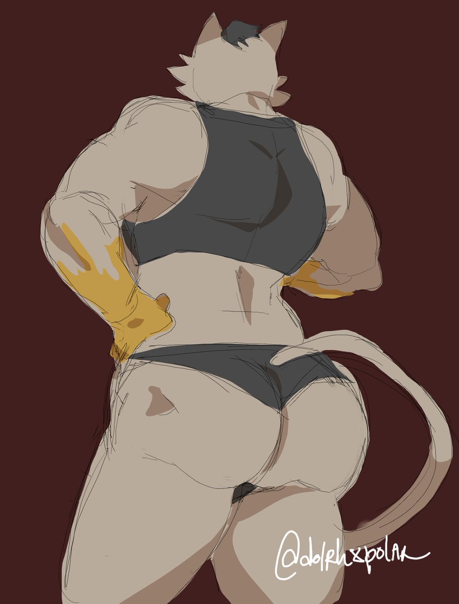dolphxpolar's tweet photo. meowdas request from my bf https://t.co/faHMGSMqEh