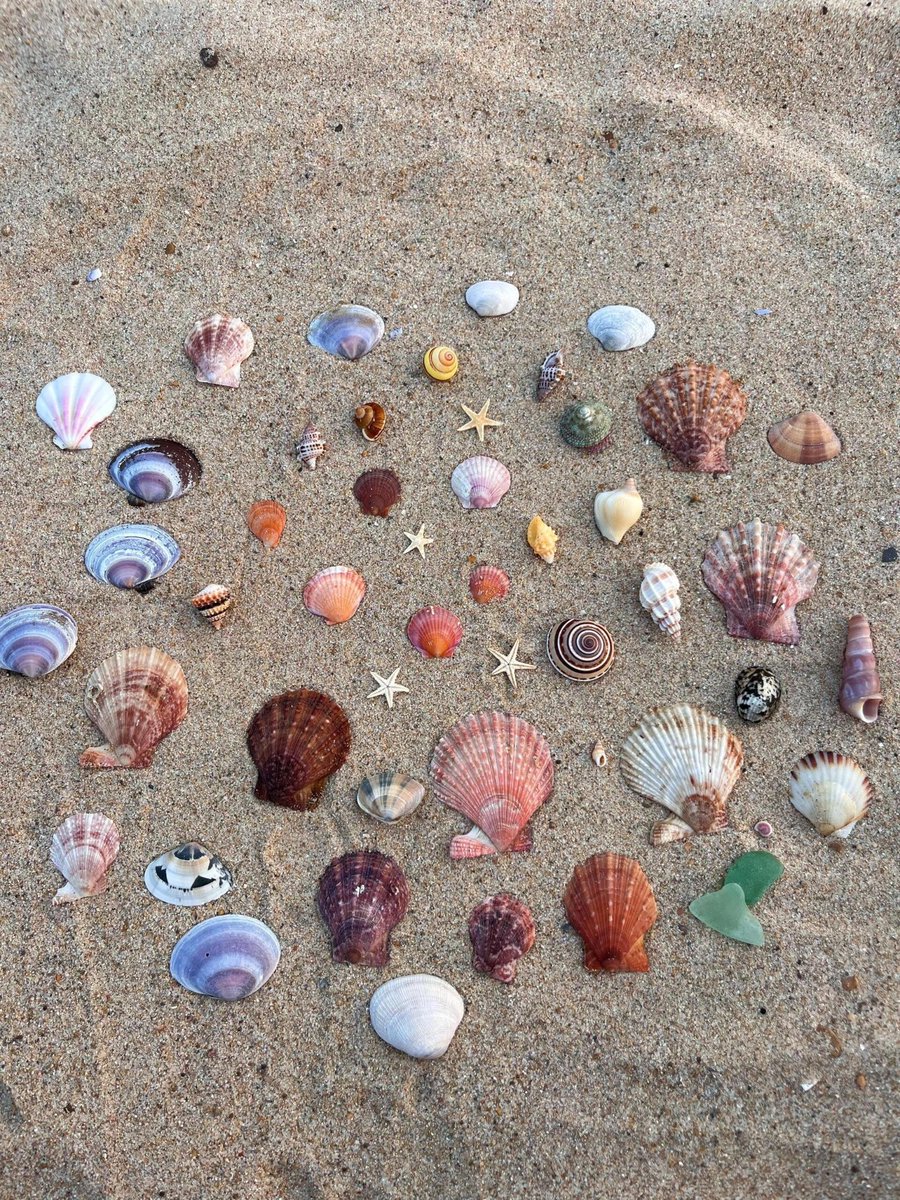 BonnerSar_a's tweet photo. Do things that make you happy https://t.co/ugEWtwmbZI
