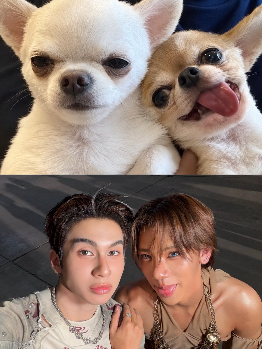 perses_official's tweet photo. อะ ตามเทรนด์หน่อย 🐶🐱
@whoispluggy

PLUGGY x JAY OF DICE - 'Wanna Taste (ใจละลาย)’ is OUT NOW!
🎬 Watch now on Youtube : https://t.co/JueBvVV6sr 
__________

Let’s get ‘UNCENSORED’ at PERSES ‘UNCENSORED’ Concert.
🎟️ Get your ticket now : APPLICATION TICKETIER or https://t.co/dgCMAgZRHs

#WannaTaste_PLUGGYxJAY
#PLUGGY_PERSES #JAYkansopon
#PERSES_UNCENSORED
#PERSES #PERSES_TH #GNEST