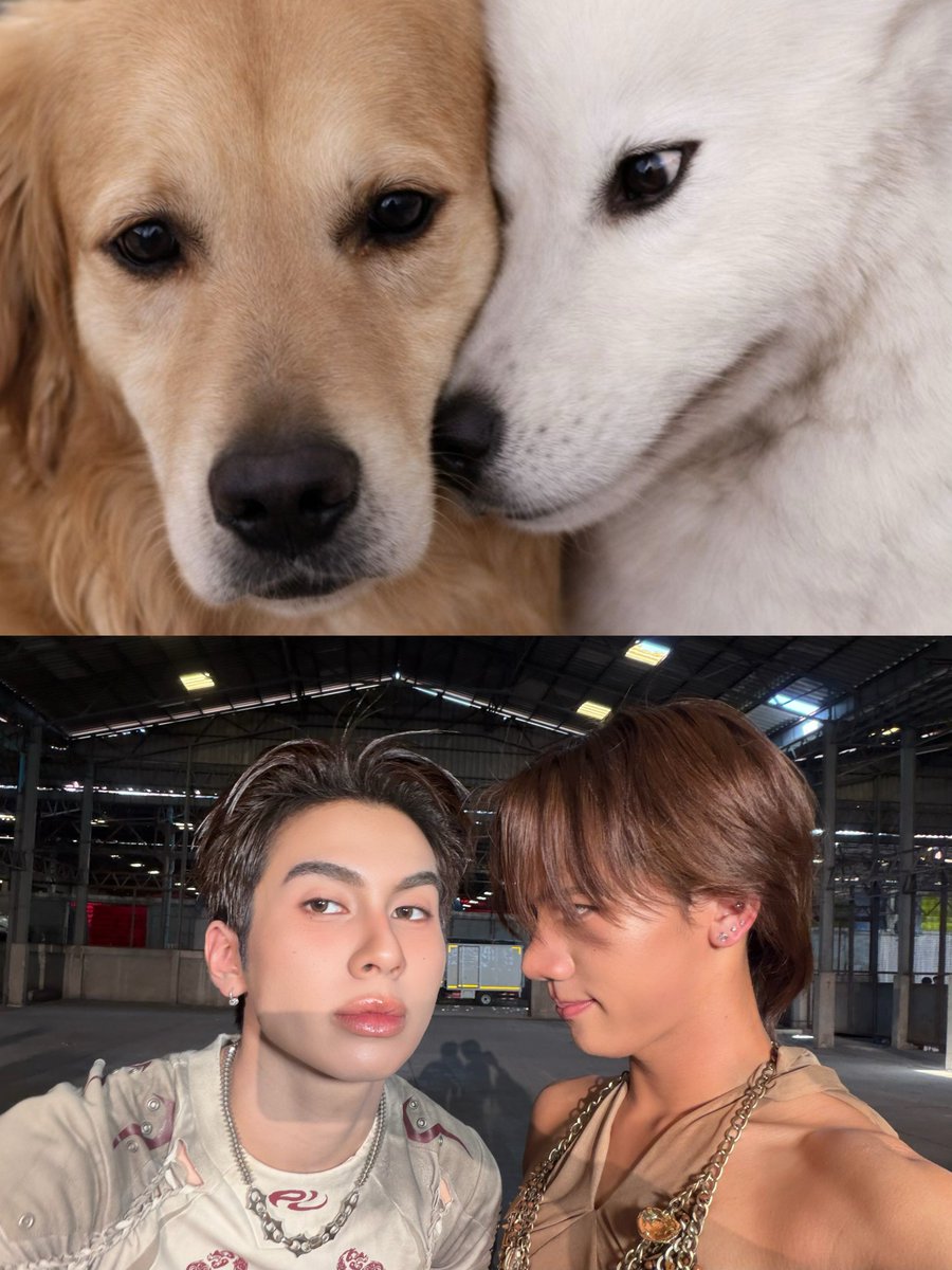 perses_official's tweet photo. อะ ตามเทรนด์หน่อย 🐶🐱
@whoispluggy

PLUGGY x JAY OF DICE - 'Wanna Taste (ใจละลาย)’ is OUT NOW!
🎬 Watch now on Youtube : https://t.co/JueBvVV6sr 
__________

Let’s get ‘UNCENSORED’ at PERSES ‘UNCENSORED’ Concert.
🎟️ Get your ticket now : APPLICATION TICKETIER or https://t.co/dgCMAgZRHs

#WannaTaste_PLUGGYxJAY
#PLUGGY_PERSES #JAYkansopon
#PERSES_UNCENSORED
#PERSES #PERSES_TH #GNEST