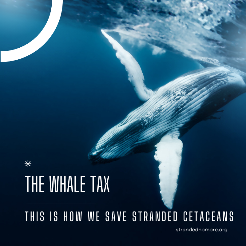 strandednomore's tweet photo. #WhaleTax https://t.co/aQB83JeHHo