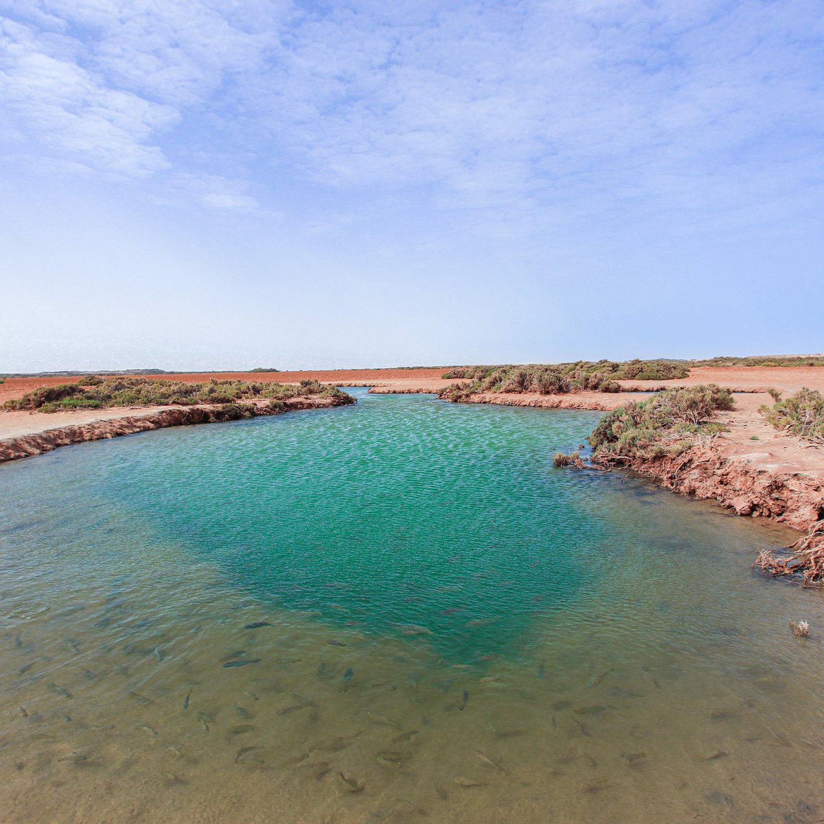 KeraHartleben's tweet photo. Discover the pristine beauty of Dakhla’s enchanting lakes. https://t.co/AxNSl1E0Ha