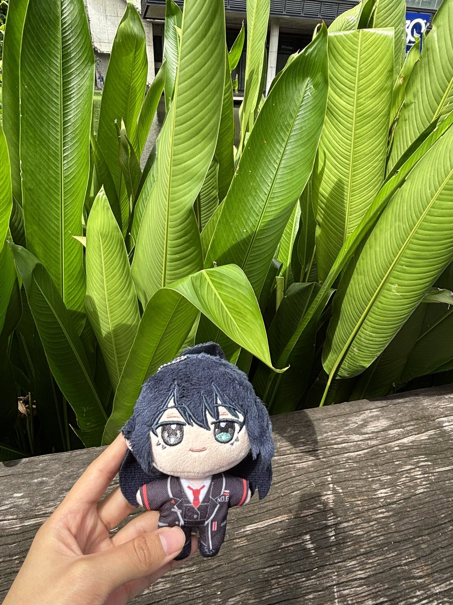 komuzann's tweet photo. https://t.co/O6eEzL5KsT