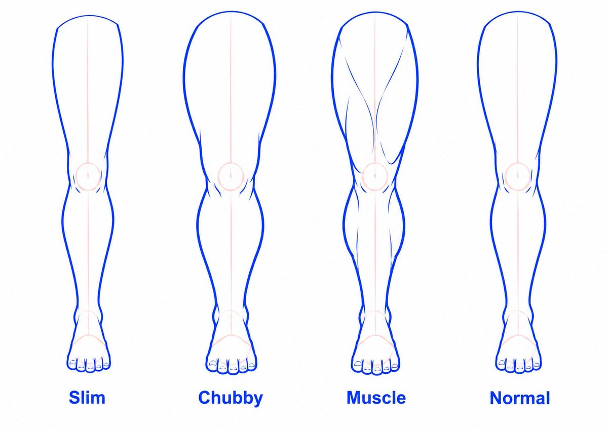 BearDesignX's tweet photo. Different leg types (love chubby) https://t.co/e2cJGIxocV
