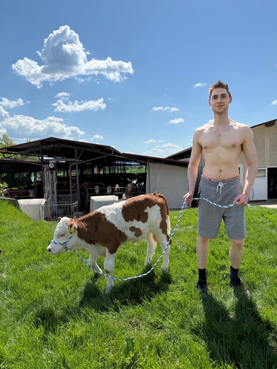 jonaskellerrr's tweet photo. 🐄 https://t.co/UKF8dphxt6