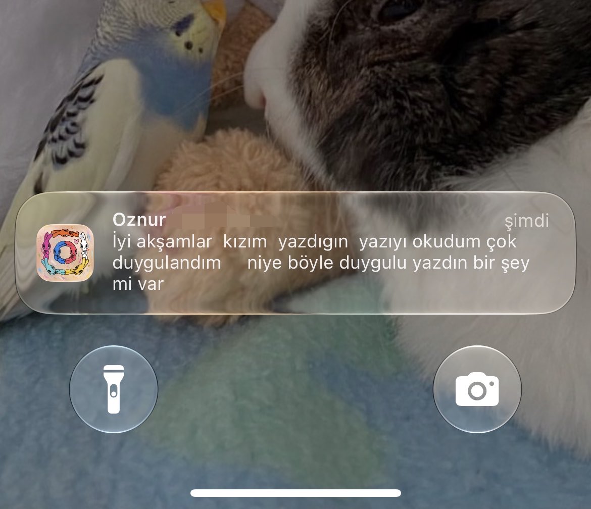 bisoudelapin's tweet photo. İlkokul öğretmenim mesaj atmış. 23 senedir hâlâ ne olursa olsun arayıp soruyor olması. Ağlayacağım şimdi… https://t.co/wnv0w2JLG1