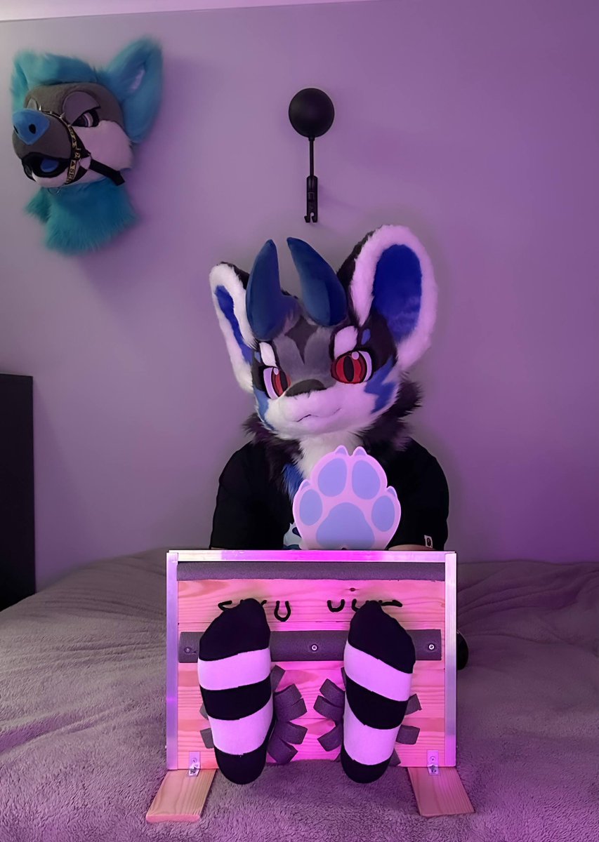 iWaffley's tweet photo. POV: You come home after work to this creature sat on your bed, already stocked up &amp; demanding feet tickles until they can't think straight😵‍💫 https://t.co/AuGEuIjaqz