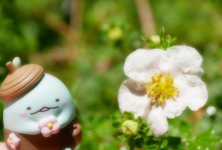 winged_mystic's tweet photo. 𝐷𝑖𝑛á𝑚𝑖𝑐𝑎 𝑚𝑖𝑛𝑖 𝑐𝑜𝑛𝑠𝑒𝑗𝑜 𝑑𝑒𝑙 𝑡𝑎𝑟𝑜𝑡 !  🍀✨️
Dime en los comentarios una área en la que necesites un consejo (excepto salud) y mis cartas te darán una respuesta. 
Requisitos:
1. Ser pacientes y no apurarme pues lleva tiempo 
2. Seguirme,dar like y rt ! https://t.co/wG8HZeQHMU