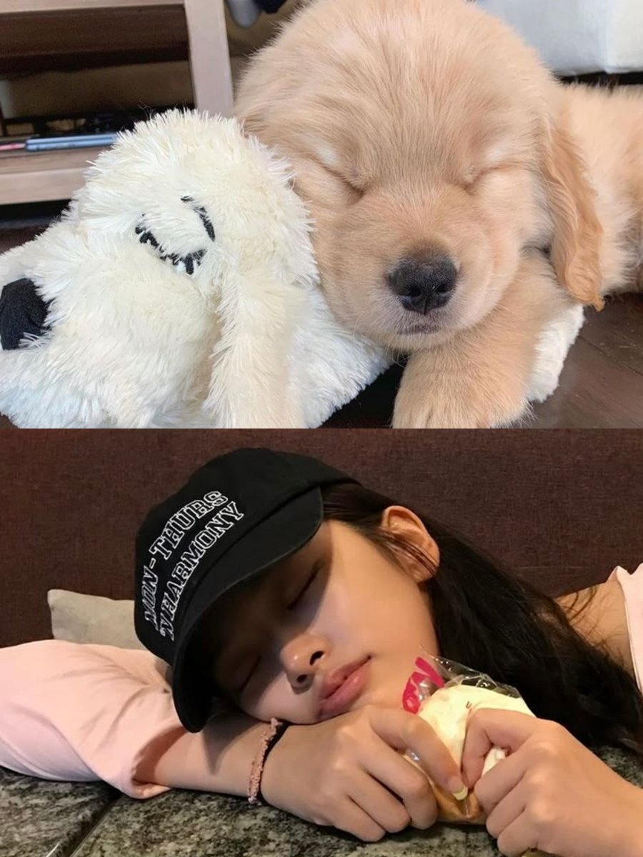 lostinyujin's tweet photo. goodnight yujinnie 🐶💤 and a compilation of sleepy puppy yujin ✨ https://t.co/FQEYaHvi07