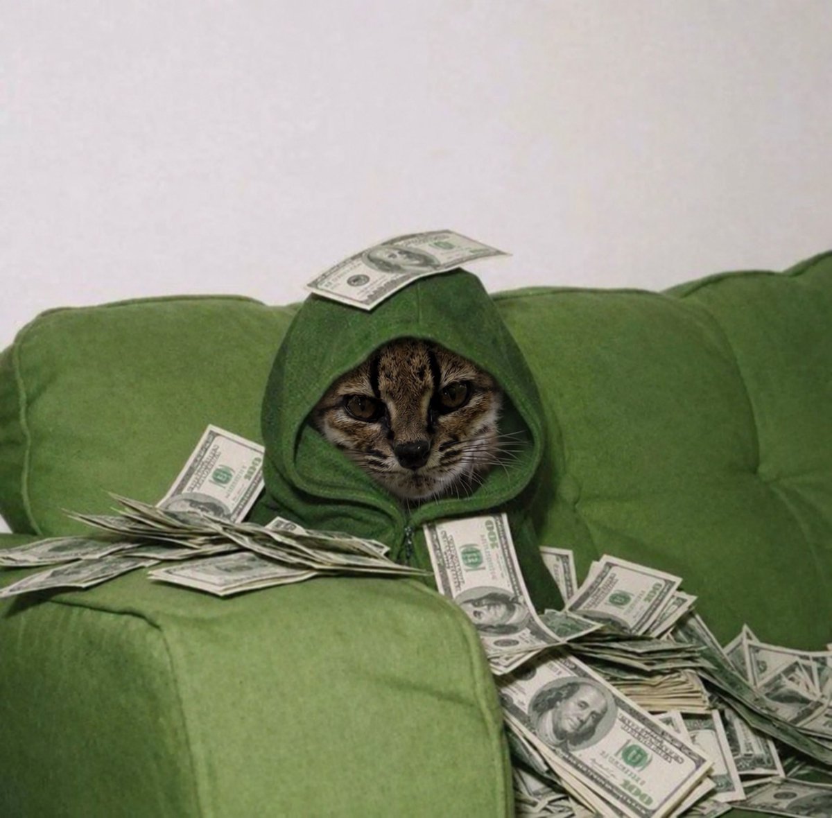 itsTigrino's tweet photo. @Pumpfun tell him there's also a memecoin that rewards a cat https://t.co/hm7Gl3Bqlo