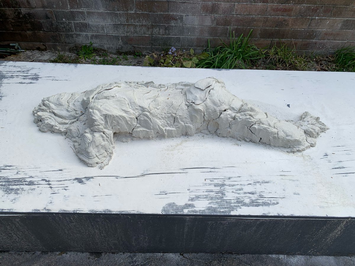 MerylBrantndxs's tweet photo. (de)composition: self-portrait
(2020–2026)
Ephemeral sculpture https://t.co/YkSVSXoYBY