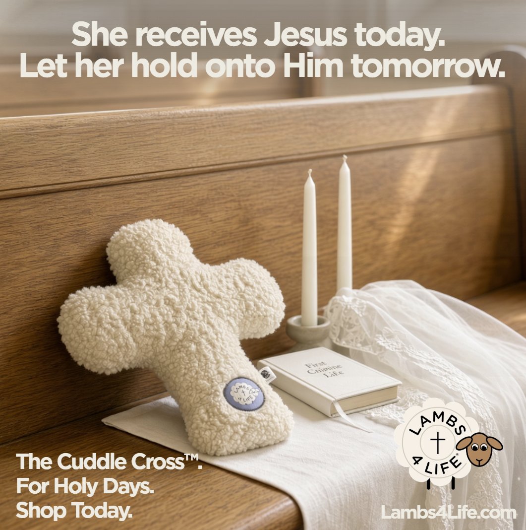 lambs4lifeHQ's tweet photo. She receives Jesus today.
Let her hold onto Him tomorrow.
A First Communion gift that lasts beyond the photo.
Soft enough for little hands. Holy enough for the altar.
The Cuddle Cross™ — for holy days. #FirstCommunion #FirstHolyCommunion #CatholicKids #ChristianGifts #FaithBasedGifts #CuddleCross #Lambs4Life #HolyDays #CatholicMom #ChristianMom #FirstCommunionGift #JesusLovesYou #TrainUpAChild #Proverbs226 #CatholicFamily #FaithForKids
Shop: https://t.co/xCYr8YUzCv