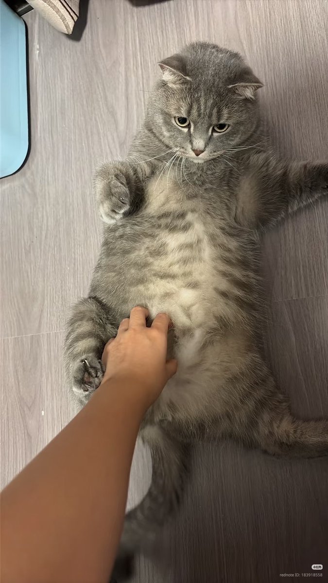 nikypy's tweet photo. https://t.co/YNFFWLE71Z
